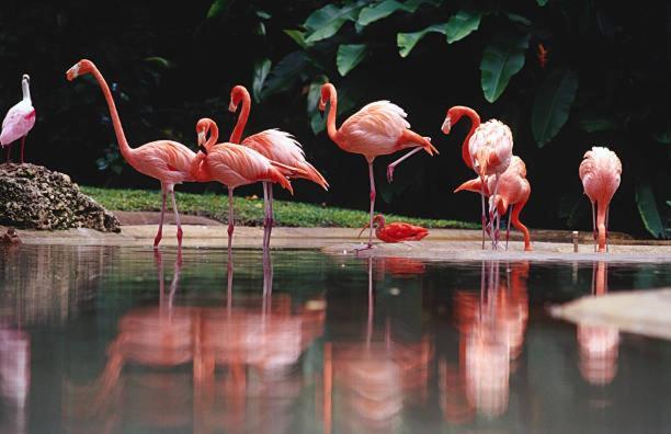 Agriturismo Oasis La Sdriscia Kültér fotó
